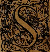 An illustration from Americæ nona & postrema pars : qua de ratione elementorum, de novi orbis natvra, de hvivs incolarvm svperstitiosis cultibus : deq; forma politiæ ac reipubl. ipsorum copiosè pertractatur : catalogo regnum Mexicanorum omnium, à primo vsq; ad vltimum Monteçuman II. additio ... : his accessit designatio illivs navigationis, quam 5. naves Hollandicae anno 1598. per fretum Magellanum in Moluccanas insulas tentarunt : quomodo nimirum oborta tempestate Capitaeus Sebalt de Weert à cæteris nauibus dispulsus, postquam plurimis mensibus in freto infinitis aerumnis miserè iactatus fuisset, tandem infectare post biennum an. 1600. domum reuersus sit : addita est tertio navigatio recens, quam 4. navium praefectus Olevier à Noort proximè suscepit ... : omnia è Germanico Latinitate donata, & insuper elegantissimis figuris æneis coornata editaq; sumptibus Theodori de Bry p.m. Viduæ & binorum filiorum (1602)