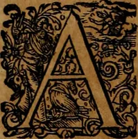 An illustration from Americæ nona & postrema pars : qua de ratione elementorum, de novi orbis natvra, de hvivs incolarvm svperstitiosis cultibus : deq; forma politiæ ac reipubl. ipsorum copiosè pertractatur : catalogo regnum Mexicanorum omnium, à primo vsq; ad vltimum Monteçuman II. additio ... : his accessit designatio illivs navigationis, quam 5. naves Hollandicae anno 1598. per fretum Magellanum in Moluccanas insulas tentarunt : quomodo nimirum oborta tempestate Capitaeus Sebalt de Weert à cæteris nauibus dispulsus, postquam plurimis mensibus in freto infinitis aerumnis miserè iactatus fuisset, tandem infectare post biennum an. 1600. domum reuersus sit : addita est tertio navigatio recens, quam 4. navium praefectus Olevier à Noort proximè suscepit ... : omnia è Germanico Latinitate donata, & insuper elegantissimis figuris æneis coornata editaq; sumptibus Theodori de Bry p.m. Viduæ & binorum filiorum (1602)
