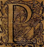 An illustration from Americæ nona & postrema pars : qua de ratione elementorum, de novi orbis natvra, de hvivs incolarvm svperstitiosis cultibus : deq; forma politiæ ac reipubl. ipsorum copiosè pertractatur : catalogo regnum Mexicanorum omnium, à primo vsq; ad vltimum Monteçuman II. additio ... : his accessit designatio illivs navigationis, quam 5. naves Hollandicae anno 1598. per fretum Magellanum in Moluccanas insulas tentarunt : quomodo nimirum oborta tempestate Capitaeus Sebalt de Weert à cæteris nauibus dispulsus, postquam plurimis mensibus in freto infinitis aerumnis miserè iactatus fuisset, tandem infectare post biennum an. 1600. domum reuersus sit : addita est tertio navigatio recens, quam 4. navium praefectus Olevier à Noort proximè suscepit ... : omnia è Germanico Latinitate donata, & insuper elegantissimis figuris æneis coornata editaq; sumptibus Theodori de Bry p.m. Viduæ & binorum filiorum (1602)