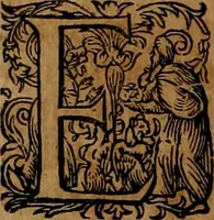 An illustration from Americæ nona & postrema pars : qua de ratione elementorum, de novi orbis natvra, de hvivs incolarvm svperstitiosis cultibus : deq; forma politiæ ac reipubl. ipsorum copiosè pertractatur : catalogo regnum Mexicanorum omnium, à primo vsq; ad vltimum Monteçuman II. additio ... : his accessit designatio illivs navigationis, quam 5. naves Hollandicae anno 1598. per fretum Magellanum in Moluccanas insulas tentarunt : quomodo nimirum oborta tempestate Capitaeus Sebalt de Weert à cæteris nauibus dispulsus, postquam plurimis mensibus in freto infinitis aerumnis miserè iactatus fuisset, tandem infectare post biennum an. 1600. domum reuersus sit : addita est tertio navigatio recens, quam 4. navium praefectus Olevier à Noort proximè suscepit ... : omnia è Germanico Latinitate donata, & insuper elegantissimis figuris æneis coornata editaq; sumptibus Theodori de Bry p.m. Viduæ & binorum filiorum (1602)