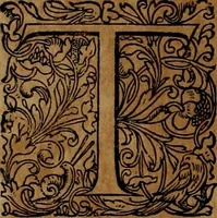 An illustration from Americæ nona & postrema pars : qua de ratione elementorum, de novi orbis natvra, de hvivs incolarvm svperstitiosis cultibus : deq; forma politiæ ac reipubl. ipsorum copiosè pertractatur : catalogo regnum Mexicanorum omnium, à primo vsq; ad vltimum Monteçuman II. additio ... : his accessit designatio illivs navigationis, quam 5. naves Hollandicae anno 1598. per fretum Magellanum in Moluccanas insulas tentarunt : quomodo nimirum oborta tempestate Capitaeus Sebalt de Weert à cæteris nauibus dispulsus, postquam plurimis mensibus in freto infinitis aerumnis miserè iactatus fuisset, tandem infectare post biennum an. 1600. domum reuersus sit : addita est tertio navigatio recens, quam 4. navium praefectus Olevier à Noort proximè suscepit ... : omnia è Germanico Latinitate donata, & insuper elegantissimis figuris æneis coornata editaq; sumptibus Theodori de Bry p.m. Viduæ & binorum filiorum (1602)