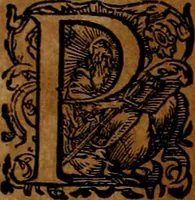 Picture 108 of 256 from Americæ nona & postrema pars : qua de ratione elementorum, de novi orbis natvra, de hvivs incolarvm svperstitiosis cultibus : deq; forma politiæ ac reipubl. ipsorum copiosè pertractatur : catalogo regnum Mexicanorum omnium, à primo vsq; ad vltimum Monteçuman II. additio ... : his accessit designatio illivs navigationis, quam 5. naves Hollandicae anno 1598. per fretum Magellanum in Moluccanas insulas tentarunt : quomodo nimirum oborta tempestate Capitaeus Sebalt de Weert à cæteris nauibus dispulsus, postquam plurimis mensibus in freto infinitis aerumnis miserè iactatus fuisset, tandem infectare post biennum an. 1600. domum reuersus sit : addita est tertio navigatio recens, quam 4. navium praefectus Olevier à Noort proximè suscepit ... : omnia è Germanico Latinitate donata, & insuper elegantissimis figuris æneis coornata editaq; sumptibus Theodori de Bry p.m. Viduæ & binorum filiorum (1602), leaf 223
