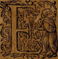 An illustration from Americæ nona & postrema pars : qua de ratione elementorum, de novi orbis natvra, de hvivs incolarvm svperstitiosis cultibus : deq; forma politiæ ac reipubl. ipsorum copiosè pertractatur : catalogo regnum Mexicanorum omnium, à primo vsq; ad vltimum Monteçuman II. additio ... : his accessit designatio illivs navigationis, quam 5. naves Hollandicae anno 1598. per fretum Magellanum in Moluccanas insulas tentarunt : quomodo nimirum oborta tempestate Capitaeus Sebalt de Weert à cæteris nauibus dispulsus, postquam plurimis mensibus in freto infinitis aerumnis miserè iactatus fuisset, tandem infectare post biennum an. 1600. domum reuersus sit : addita est tertio navigatio recens, quam 4. navium praefectus Olevier à Noort proximè suscepit ... : omnia è Germanico Latinitate donata, & insuper elegantissimis figuris æneis coornata editaq; sumptibus Theodori de Bry p.m. Viduæ & binorum filiorum (1602)