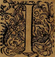 Picture 111 of 256 from Americæ nona & postrema pars : qua de ratione elementorum, de novi orbis natvra, de hvivs incolarvm svperstitiosis cultibus : deq; forma politiæ ac reipubl. ipsorum copiosè pertractatur : catalogo regnum Mexicanorum omnium, à primo vsq; ad vltimum Monteçuman II. additio ... : his accessit designatio illivs navigationis, quam 5. naves Hollandicae anno 1598. per fretum Magellanum in Moluccanas insulas tentarunt : quomodo nimirum oborta tempestate Capitaeus Sebalt de Weert à cæteris nauibus dispulsus, postquam plurimis mensibus in freto infinitis aerumnis miserè iactatus fuisset, tandem infectare post biennum an. 1600. domum reuersus sit : addita est tertio navigatio recens, quam 4. navium praefectus Olevier à Noort proximè suscepit ... : omnia è Germanico Latinitate donata, & insuper elegantissimis figuris æneis coornata editaq; sumptibus Theodori de Bry p.m. Viduæ & binorum filiorum (1602), leaf 229