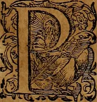 Picture 112 of 256 from Americæ nona & postrema pars : qua de ratione elementorum, de novi orbis natvra, de hvivs incolarvm svperstitiosis cultibus : deq; forma politiæ ac reipubl. ipsorum copiosè pertractatur : catalogo regnum Mexicanorum omnium, à primo vsq; ad vltimum Monteçuman II. additio ... : his accessit designatio illivs navigationis, quam 5. naves Hollandicae anno 1598. per fretum Magellanum in Moluccanas insulas tentarunt : quomodo nimirum oborta tempestate Capitaeus Sebalt de Weert à cæteris nauibus dispulsus, postquam plurimis mensibus in freto infinitis aerumnis miserè iactatus fuisset, tandem infectare post biennum an. 1600. domum reuersus sit : addita est tertio navigatio recens, quam 4. navium praefectus Olevier à Noort proximè suscepit ... : omnia è Germanico Latinitate donata, & insuper elegantissimis figuris æneis coornata editaq; sumptibus Theodori de Bry p.m. Viduæ & binorum filiorum (1602), leaf 230