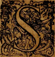 An illustration from Americæ nona & postrema pars : qua de ratione elementorum, de novi orbis natvra, de hvivs incolarvm svperstitiosis cultibus : deq; forma politiæ ac reipubl. ipsorum copiosè pertractatur : catalogo regnum Mexicanorum omnium, à primo vsq; ad vltimum Monteçuman II. additio ... : his accessit designatio illivs navigationis, quam 5. naves Hollandicae anno 1598. per fretum Magellanum in Moluccanas insulas tentarunt : quomodo nimirum oborta tempestate Capitaeus Sebalt de Weert à cæteris nauibus dispulsus, postquam plurimis mensibus in freto infinitis aerumnis miserè iactatus fuisset, tandem infectare post biennum an. 1600. domum reuersus sit : addita est tertio navigatio recens, quam 4. navium praefectus Olevier à Noort proximè suscepit ... : omnia è Germanico Latinitate donata, & insuper elegantissimis figuris æneis coornata editaq; sumptibus Theodori de Bry p.m. Viduæ & binorum filiorum (1602)