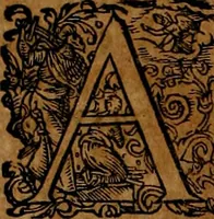 An illustration from Americæ nona & postrema pars : qua de ratione elementorum, de novi orbis natvra, de hvivs incolarvm svperstitiosis cultibus : deq; forma politiæ ac reipubl. ipsorum copiosè pertractatur : catalogo regnum Mexicanorum omnium, à primo vsq; ad vltimum Monteçuman II. additio ... : his accessit designatio illivs navigationis, quam 5. naves Hollandicae anno 1598. per fretum Magellanum in Moluccanas insulas tentarunt : quomodo nimirum oborta tempestate Capitaeus Sebalt de Weert à cæteris nauibus dispulsus, postquam plurimis mensibus in freto infinitis aerumnis miserè iactatus fuisset, tandem infectare post biennum an. 1600. domum reuersus sit : addita est tertio navigatio recens, quam 4. navium praefectus Olevier à Noort proximè suscepit ... : omnia è Germanico Latinitate donata, & insuper elegantissimis figuris æneis coornata editaq; sumptibus Theodori de Bry p.m. Viduæ & binorum filiorum (1602)