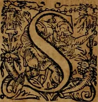 An illustration from Americæ nona & postrema pars : qua de ratione elementorum, de novi orbis natvra, de hvivs incolarvm svperstitiosis cultibus : deq; forma politiæ ac reipubl. ipsorum copiosè pertractatur : catalogo regnum Mexicanorum omnium, à primo vsq; ad vltimum Monteçuman II. additio ... : his accessit designatio illivs navigationis, quam 5. naves Hollandicae anno 1598. per fretum Magellanum in Moluccanas insulas tentarunt : quomodo nimirum oborta tempestate Capitaeus Sebalt de Weert à cæteris nauibus dispulsus, postquam plurimis mensibus in freto infinitis aerumnis miserè iactatus fuisset, tandem infectare post biennum an. 1600. domum reuersus sit : addita est tertio navigatio recens, quam 4. navium praefectus Olevier à Noort proximè suscepit ... : omnia è Germanico Latinitate donata, & insuper elegantissimis figuris æneis coornata editaq; sumptibus Theodori de Bry p.m. Viduæ & binorum filiorum (1602)
