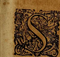 An illustration from Americæ nona & postrema pars : qua de ratione elementorum, de novi orbis natvra, de hvivs incolarvm svperstitiosis cultibus : deq; forma politiæ ac reipubl. ipsorum copiosè pertractatur : catalogo regnum Mexicanorum omnium, à primo vsq; ad vltimum Monteçuman II. additio ... : his accessit designatio illivs navigationis, quam 5. naves Hollandicae anno 1598. per fretum Magellanum in Moluccanas insulas tentarunt : quomodo nimirum oborta tempestate Capitaeus Sebalt de Weert à cæteris nauibus dispulsus, postquam plurimis mensibus in freto infinitis aerumnis miserè iactatus fuisset, tandem infectare post biennum an. 1600. domum reuersus sit : addita est tertio navigatio recens, quam 4. navium praefectus Olevier à Noort proximè suscepit ... : omnia è Germanico Latinitate donata, & insuper elegantissimis figuris æneis coornata editaq; sumptibus Theodori de Bry p.m. Viduæ & binorum filiorum (1602)