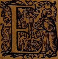 An illustration from Americæ nona & postrema pars : qua de ratione elementorum, de novi orbis natvra, de hvivs incolarvm svperstitiosis cultibus : deq; forma politiæ ac reipubl. ipsorum copiosè pertractatur : catalogo regnum Mexicanorum omnium, à primo vsq; ad vltimum Monteçuman II. additio ... : his accessit designatio illivs navigationis, quam 5. naves Hollandicae anno 1598. per fretum Magellanum in Moluccanas insulas tentarunt : quomodo nimirum oborta tempestate Capitaeus Sebalt de Weert à cæteris nauibus dispulsus, postquam plurimis mensibus in freto infinitis aerumnis miserè iactatus fuisset, tandem infectare post biennum an. 1600. domum reuersus sit : addita est tertio navigatio recens, quam 4. navium praefectus Olevier à Noort proximè suscepit ... : omnia è Germanico Latinitate donata, & insuper elegantissimis figuris æneis coornata editaq; sumptibus Theodori de Bry p.m. Viduæ & binorum filiorum (1602)