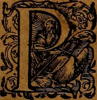 Picture 119 of 256 from Americæ nona & postrema pars : qua de ratione elementorum, de novi orbis natvra, de hvivs incolarvm svperstitiosis cultibus : deq; forma politiæ ac reipubl. ipsorum copiosè pertractatur : catalogo regnum Mexicanorum omnium, à primo vsq; ad vltimum Monteçuman II. additio ... : his accessit designatio illivs navigationis, quam 5. naves Hollandicae anno 1598. per fretum Magellanum in Moluccanas insulas tentarunt : quomodo nimirum oborta tempestate Capitaeus Sebalt de Weert à cæteris nauibus dispulsus, postquam plurimis mensibus in freto infinitis aerumnis miserè iactatus fuisset, tandem infectare post biennum an. 1600. domum reuersus sit : addita est tertio navigatio recens, quam 4. navium praefectus Olevier à Noort proximè suscepit ... : omnia è Germanico Latinitate donata, & insuper elegantissimis figuris æneis coornata editaq; sumptibus Theodori de Bry p.m. Viduæ & binorum filiorum (1602), leaf 248