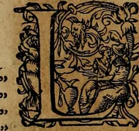 An illustration from Americæ nona & postrema pars : qua de ratione elementorum, de novi orbis natvra, de hvivs incolarvm svperstitiosis cultibus : deq; forma politiæ ac reipubl. ipsorum copiosè pertractatur : catalogo regnum Mexicanorum omnium, à primo vsq; ad vltimum Monteçuman II. additio ... : his accessit designatio illivs navigationis, quam 5. naves Hollandicae anno 1598. per fretum Magellanum in Moluccanas insulas tentarunt : quomodo nimirum oborta tempestate Capitaeus Sebalt de Weert à cæteris nauibus dispulsus, postquam plurimis mensibus in freto infinitis aerumnis miserè iactatus fuisset, tandem infectare post biennum an. 1600. domum reuersus sit : addita est tertio navigatio recens, quam 4. navium praefectus Olevier à Noort proximè suscepit ... : omnia è Germanico Latinitate donata, & insuper elegantissimis figuris æneis coornata editaq; sumptibus Theodori de Bry p.m. Viduæ & binorum filiorum (1602)