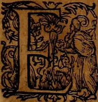 An illustration from Americæ nona & postrema pars : qua de ratione elementorum, de novi orbis natvra, de hvivs incolarvm svperstitiosis cultibus : deq; forma politiæ ac reipubl. ipsorum copiosè pertractatur : catalogo regnum Mexicanorum omnium, à primo vsq; ad vltimum Monteçuman II. additio ... : his accessit designatio illivs navigationis, quam 5. naves Hollandicae anno 1598. per fretum Magellanum in Moluccanas insulas tentarunt : quomodo nimirum oborta tempestate Capitaeus Sebalt de Weert à cæteris nauibus dispulsus, postquam plurimis mensibus in freto infinitis aerumnis miserè iactatus fuisset, tandem infectare post biennum an. 1600. domum reuersus sit : addita est tertio navigatio recens, quam 4. navium praefectus Olevier à Noort proximè suscepit ... : omnia è Germanico Latinitate donata, & insuper elegantissimis figuris æneis coornata editaq; sumptibus Theodori de Bry p.m. Viduæ & binorum filiorum (1602)