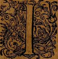 Picture 121 of 256 from Americæ nona & postrema pars : qua de ratione elementorum, de novi orbis natvra, de hvivs incolarvm svperstitiosis cultibus : deq; forma politiæ ac reipubl. ipsorum copiosè pertractatur : catalogo regnum Mexicanorum omnium, à primo vsq; ad vltimum Monteçuman II. additio ... : his accessit designatio illivs navigationis, quam 5. naves Hollandicae anno 1598. per fretum Magellanum in Moluccanas insulas tentarunt : quomodo nimirum oborta tempestate Capitaeus Sebalt de Weert à cæteris nauibus dispulsus, postquam plurimis mensibus in freto infinitis aerumnis miserè iactatus fuisset, tandem infectare post biennum an. 1600. domum reuersus sit : addita est tertio navigatio recens, quam 4. navium praefectus Olevier à Noort proximè suscepit ... : omnia è Germanico Latinitate donata, & insuper elegantissimis figuris æneis coornata editaq; sumptibus Theodori de Bry p.m. Viduæ & binorum filiorum (1602), leaf 254
