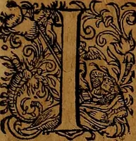 An illustration from Americæ nona & postrema pars : qua de ratione elementorum, de novi orbis natvra, de hvivs incolarvm svperstitiosis cultibus : deq; forma politiæ ac reipubl. ipsorum copiosè pertractatur : catalogo regnum Mexicanorum omnium, à primo vsq; ad vltimum Monteçuman II. additio ... : his accessit designatio illivs navigationis, quam 5. naves Hollandicae anno 1598. per fretum Magellanum in Moluccanas insulas tentarunt : quomodo nimirum oborta tempestate Capitaeus Sebalt de Weert à cæteris nauibus dispulsus, postquam plurimis mensibus in freto infinitis aerumnis miserè iactatus fuisset, tandem infectare post biennum an. 1600. domum reuersus sit : addita est tertio navigatio recens, quam 4. navium praefectus Olevier à Noort proximè suscepit ... : omnia è Germanico Latinitate donata, & insuper elegantissimis figuris æneis coornata editaq; sumptibus Theodori de Bry p.m. Viduæ & binorum filiorum (1602)