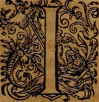 Picture 124 of 256 from Americæ nona & postrema pars : qua de ratione elementorum, de novi orbis natvra, de hvivs incolarvm svperstitiosis cultibus : deq; forma politiæ ac reipubl. ipsorum copiosè pertractatur : catalogo regnum Mexicanorum omnium, à primo vsq; ad vltimum Monteçuman II. additio ... : his accessit designatio illivs navigationis, quam 5. naves Hollandicae anno 1598. per fretum Magellanum in Moluccanas insulas tentarunt : quomodo nimirum oborta tempestate Capitaeus Sebalt de Weert à cæteris nauibus dispulsus, postquam plurimis mensibus in freto infinitis aerumnis miserè iactatus fuisset, tandem infectare post biennum an. 1600. domum reuersus sit : addita est tertio navigatio recens, quam 4. navium praefectus Olevier à Noort proximè suscepit ... : omnia è Germanico Latinitate donata, & insuper elegantissimis figuris æneis coornata editaq; sumptibus Theodori de Bry p.m. Viduæ & binorum filiorum (1602), leaf 264