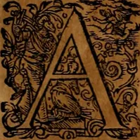 Picture 126 of 256 from Americæ nona & postrema pars : qua de ratione elementorum, de novi orbis natvra, de hvivs incolarvm svperstitiosis cultibus : deq; forma politiæ ac reipubl. ipsorum copiosè pertractatur : catalogo regnum Mexicanorum omnium, à primo vsq; ad vltimum Monteçuman II. additio ... : his accessit designatio illivs navigationis, quam 5. naves Hollandicae anno 1598. per fretum Magellanum in Moluccanas insulas tentarunt : quomodo nimirum oborta tempestate Capitaeus Sebalt de Weert à cæteris nauibus dispulsus, postquam plurimis mensibus in freto infinitis aerumnis miserè iactatus fuisset, tandem infectare post biennum an. 1600. domum reuersus sit : addita est tertio navigatio recens, quam 4. navium praefectus Olevier à Noort proximè suscepit ... : omnia è Germanico Latinitate donata, & insuper elegantissimis figuris æneis coornata editaq; sumptibus Theodori de Bry p.m. Viduæ & binorum filiorum (1602), leaf 269