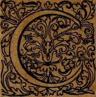 An illustration from Americæ nona & postrema pars : qua de ratione elementorum, de novi orbis natvra, de hvivs incolarvm svperstitiosis cultibus : deq; forma politiæ ac reipubl. ipsorum copiosè pertractatur : catalogo regnum Mexicanorum omnium, à primo vsq; ad vltimum Monteçuman II. additio ... : his accessit designatio illivs navigationis, quam 5. naves Hollandicae anno 1598. per fretum Magellanum in Moluccanas insulas tentarunt : quomodo nimirum oborta tempestate Capitaeus Sebalt de Weert à cæteris nauibus dispulsus, postquam plurimis mensibus in freto infinitis aerumnis miserè iactatus fuisset, tandem infectare post biennum an. 1600. domum reuersus sit : addita est tertio navigatio recens, quam 4. navium praefectus Olevier à Noort proximè suscepit ... : omnia è Germanico Latinitate donata, & insuper elegantissimis figuris æneis coornata editaq; sumptibus Theodori de Bry p.m. Viduæ & binorum filiorum (1602)