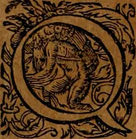 An illustration from Americæ nona & postrema pars : qua de ratione elementorum, de novi orbis natvra, de hvivs incolarvm svperstitiosis cultibus : deq; forma politiæ ac reipubl. ipsorum copiosè pertractatur : catalogo regnum Mexicanorum omnium, à primo vsq; ad vltimum Monteçuman II. additio ... : his accessit designatio illivs navigationis, quam 5. naves Hollandicae anno 1598. per fretum Magellanum in Moluccanas insulas tentarunt : quomodo nimirum oborta tempestate Capitaeus Sebalt de Weert à cæteris nauibus dispulsus, postquam plurimis mensibus in freto infinitis aerumnis miserè iactatus fuisset, tandem infectare post biennum an. 1600. domum reuersus sit : addita est tertio navigatio recens, quam 4. navium praefectus Olevier à Noort proximè suscepit ... : omnia è Germanico Latinitate donata, & insuper elegantissimis figuris æneis coornata editaq; sumptibus Theodori de Bry p.m. Viduæ & binorum filiorum (1602)