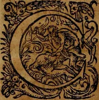 An illustration from Americæ nona & postrema pars : qua de ratione elementorum, de novi orbis natvra, de hvivs incolarvm svperstitiosis cultibus : deq; forma politiæ ac reipubl. ipsorum copiosè pertractatur : catalogo regnum Mexicanorum omnium, à primo vsq; ad vltimum Monteçuman II. additio ... : his accessit designatio illivs navigationis, quam 5. naves Hollandicae anno 1598. per fretum Magellanum in Moluccanas insulas tentarunt : quomodo nimirum oborta tempestate Capitaeus Sebalt de Weert à cæteris nauibus dispulsus, postquam plurimis mensibus in freto infinitis aerumnis miserè iactatus fuisset, tandem infectare post biennum an. 1600. domum reuersus sit : addita est tertio navigatio recens, quam 4. navium praefectus Olevier à Noort proximè suscepit ... : omnia è Germanico Latinitate donata, & insuper elegantissimis figuris æneis coornata editaq; sumptibus Theodori de Bry p.m. Viduæ & binorum filiorum (1602)