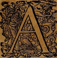 An illustration from Americæ nona & postrema pars : qua de ratione elementorum, de novi orbis natvra, de hvivs incolarvm svperstitiosis cultibus : deq; forma politiæ ac reipubl. ipsorum copiosè pertractatur : catalogo regnum Mexicanorum omnium, à primo vsq; ad vltimum Monteçuman II. additio ... : his accessit designatio illivs navigationis, quam 5. naves Hollandicae anno 1598. per fretum Magellanum in Moluccanas insulas tentarunt : quomodo nimirum oborta tempestate Capitaeus Sebalt de Weert à cæteris nauibus dispulsus, postquam plurimis mensibus in freto infinitis aerumnis miserè iactatus fuisset, tandem infectare post biennum an. 1600. domum reuersus sit : addita est tertio navigatio recens, quam 4. navium praefectus Olevier à Noort proximè suscepit ... : omnia è Germanico Latinitate donata, & insuper elegantissimis figuris æneis coornata editaq; sumptibus Theodori de Bry p.m. Viduæ & binorum filiorum (1602)
