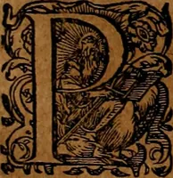 Picture 143 of 256 from Americæ nona & postrema pars : qua de ratione elementorum, de novi orbis natvra, de hvivs incolarvm svperstitiosis cultibus : deq; forma politiæ ac reipubl. ipsorum copiosè pertractatur : catalogo regnum Mexicanorum omnium, à primo vsq; ad vltimum Monteçuman II. additio ... : his accessit designatio illivs navigationis, quam 5. naves Hollandicae anno 1598. per fretum Magellanum in Moluccanas insulas tentarunt : quomodo nimirum oborta tempestate Capitaeus Sebalt de Weert à cæteris nauibus dispulsus, postquam plurimis mensibus in freto infinitis aerumnis miserè iactatus fuisset, tandem infectare post biennum an. 1600. domum reuersus sit : addita est tertio navigatio recens, quam 4. navium praefectus Olevier à Noort proximè suscepit ... : omnia è Germanico Latinitate donata, & insuper elegantissimis figuris æneis coornata editaq; sumptibus Theodori de Bry p.m. Viduæ & binorum filiorum (1602), leaf 301