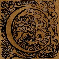 Picture 144 of 256 from Americæ nona & postrema pars : qua de ratione elementorum, de novi orbis natvra, de hvivs incolarvm svperstitiosis cultibus : deq; forma politiæ ac reipubl. ipsorum copiosè pertractatur : catalogo regnum Mexicanorum omnium, à primo vsq; ad vltimum Monteçuman II. additio ... : his accessit designatio illivs navigationis, quam 5. naves Hollandicae anno 1598. per fretum Magellanum in Moluccanas insulas tentarunt : quomodo nimirum oborta tempestate Capitaeus Sebalt de Weert à cæteris nauibus dispulsus, postquam plurimis mensibus in freto infinitis aerumnis miserè iactatus fuisset, tandem infectare post biennum an. 1600. domum reuersus sit : addita est tertio navigatio recens, quam 4. navium praefectus Olevier à Noort proximè suscepit ... : omnia è Germanico Latinitate donata, & insuper elegantissimis figuris æneis coornata editaq; sumptibus Theodori de Bry p.m. Viduæ & binorum filiorum (1602), leaf 302