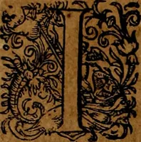 Picture 145 of 256 from Americæ nona & postrema pars : qua de ratione elementorum, de novi orbis natvra, de hvivs incolarvm svperstitiosis cultibus : deq; forma politiæ ac reipubl. ipsorum copiosè pertractatur : catalogo regnum Mexicanorum omnium, à primo vsq; ad vltimum Monteçuman II. additio ... : his accessit designatio illivs navigationis, quam 5. naves Hollandicae anno 1598. per fretum Magellanum in Moluccanas insulas tentarunt : quomodo nimirum oborta tempestate Capitaeus Sebalt de Weert à cæteris nauibus dispulsus, postquam plurimis mensibus in freto infinitis aerumnis miserè iactatus fuisset, tandem infectare post biennum an. 1600. domum reuersus sit : addita est tertio navigatio recens, quam 4. navium praefectus Olevier à Noort proximè suscepit ... : omnia è Germanico Latinitate donata, & insuper elegantissimis figuris æneis coornata editaq; sumptibus Theodori de Bry p.m. Viduæ & binorum filiorum (1602), leaf 305
