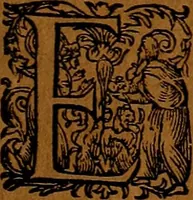 An illustration from Americæ nona & postrema pars : qua de ratione elementorum, de novi orbis natvra, de hvivs incolarvm svperstitiosis cultibus : deq; forma politiæ ac reipubl. ipsorum copiosè pertractatur : catalogo regnum Mexicanorum omnium, à primo vsq; ad vltimum Monteçuman II. additio ... : his accessit designatio illivs navigationis, quam 5. naves Hollandicae anno 1598. per fretum Magellanum in Moluccanas insulas tentarunt : quomodo nimirum oborta tempestate Capitaeus Sebalt de Weert à cæteris nauibus dispulsus, postquam plurimis mensibus in freto infinitis aerumnis miserè iactatus fuisset, tandem infectare post biennum an. 1600. domum reuersus sit : addita est tertio navigatio recens, quam 4. navium praefectus Olevier à Noort proximè suscepit ... : omnia è Germanico Latinitate donata, & insuper elegantissimis figuris æneis coornata editaq; sumptibus Theodori de Bry p.m. Viduæ & binorum filiorum (1602)