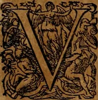 Picture 153 of 256 from Americæ nona & postrema pars : qua de ratione elementorum, de novi orbis natvra, de hvivs incolarvm svperstitiosis cultibus : deq; forma politiæ ac reipubl. ipsorum copiosè pertractatur : catalogo regnum Mexicanorum omnium, à primo vsq; ad vltimum Monteçuman II. additio ... : his accessit designatio illivs navigationis, quam 5. naves Hollandicae anno 1598. per fretum Magellanum in Moluccanas insulas tentarunt : quomodo nimirum oborta tempestate Capitaeus Sebalt de Weert à cæteris nauibus dispulsus, postquam plurimis mensibus in freto infinitis aerumnis miserè iactatus fuisset, tandem infectare post biennum an. 1600. domum reuersus sit : addita est tertio navigatio recens, quam 4. navium praefectus Olevier à Noort proximè suscepit ... : omnia è Germanico Latinitate donata, & insuper elegantissimis figuris æneis coornata editaq; sumptibus Theodori de Bry p.m. Viduæ & binorum filiorum (1602), leaf 317
