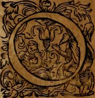 An illustration from Americæ nona & postrema pars : qua de ratione elementorum, de novi orbis natvra, de hvivs incolarvm svperstitiosis cultibus : deq; forma politiæ ac reipubl. ipsorum copiosè pertractatur : catalogo regnum Mexicanorum omnium, à primo vsq; ad vltimum Monteçuman II. additio ... : his accessit designatio illivs navigationis, quam 5. naves Hollandicae anno 1598. per fretum Magellanum in Moluccanas insulas tentarunt : quomodo nimirum oborta tempestate Capitaeus Sebalt de Weert à cæteris nauibus dispulsus, postquam plurimis mensibus in freto infinitis aerumnis miserè iactatus fuisset, tandem infectare post biennum an. 1600. domum reuersus sit : addita est tertio navigatio recens, quam 4. navium praefectus Olevier à Noort proximè suscepit ... : omnia è Germanico Latinitate donata, & insuper elegantissimis figuris æneis coornata editaq; sumptibus Theodori de Bry p.m. Viduæ & binorum filiorum (1602)