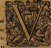 An illustration from Americæ nona & postrema pars : qua de ratione elementorum, de novi orbis natvra, de hvivs incolarvm svperstitiosis cultibus : deq; forma politiæ ac reipubl. ipsorum copiosè pertractatur : catalogo regnum Mexicanorum omnium, à primo vsq; ad vltimum Monteçuman II. additio ... : his accessit designatio illivs navigationis, quam 5. naves Hollandicae anno 1598. per fretum Magellanum in Moluccanas insulas tentarunt : quomodo nimirum oborta tempestate Capitaeus Sebalt de Weert à cæteris nauibus dispulsus, postquam plurimis mensibus in freto infinitis aerumnis miserè iactatus fuisset, tandem infectare post biennum an. 1600. domum reuersus sit : addita est tertio navigatio recens, quam 4. navium praefectus Olevier à Noort proximè suscepit ... : omnia è Germanico Latinitate donata, & insuper elegantissimis figuris æneis coornata editaq; sumptibus Theodori de Bry p.m. Viduæ & binorum filiorum (1602)