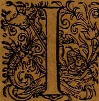 An illustration from Americæ nona & postrema pars : qua de ratione elementorum, de novi orbis natvra, de hvivs incolarvm svperstitiosis cultibus : deq; forma politiæ ac reipubl. ipsorum copiosè pertractatur : catalogo regnum Mexicanorum omnium, à primo vsq; ad vltimum Monteçuman II. additio ... : his accessit designatio illivs navigationis, quam 5. naves Hollandicae anno 1598. per fretum Magellanum in Moluccanas insulas tentarunt : quomodo nimirum oborta tempestate Capitaeus Sebalt de Weert à cæteris nauibus dispulsus, postquam plurimis mensibus in freto infinitis aerumnis miserè iactatus fuisset, tandem infectare post biennum an. 1600. domum reuersus sit : addita est tertio navigatio recens, quam 4. navium praefectus Olevier à Noort proximè suscepit ... : omnia è Germanico Latinitate donata, & insuper elegantissimis figuris æneis coornata editaq; sumptibus Theodori de Bry p.m. Viduæ & binorum filiorum (1602)