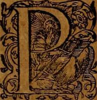 An illustration from Americæ nona & postrema pars : qua de ratione elementorum, de novi orbis natvra, de hvivs incolarvm svperstitiosis cultibus : deq; forma politiæ ac reipubl. ipsorum copiosè pertractatur : catalogo regnum Mexicanorum omnium, à primo vsq; ad vltimum Monteçuman II. additio ... : his accessit designatio illivs navigationis, quam 5. naves Hollandicae anno 1598. per fretum Magellanum in Moluccanas insulas tentarunt : quomodo nimirum oborta tempestate Capitaeus Sebalt de Weert à cæteris nauibus dispulsus, postquam plurimis mensibus in freto infinitis aerumnis miserè iactatus fuisset, tandem infectare post biennum an. 1600. domum reuersus sit : addita est tertio navigatio recens, quam 4. navium praefectus Olevier à Noort proximè suscepit ... : omnia è Germanico Latinitate donata, & insuper elegantissimis figuris æneis coornata editaq; sumptibus Theodori de Bry p.m. Viduæ & binorum filiorum (1602)
