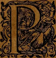 Picture 165 of 256 from Americæ nona & postrema pars : qua de ratione elementorum, de novi orbis natvra, de hvivs incolarvm svperstitiosis cultibus : deq; forma politiæ ac reipubl. ipsorum copiosè pertractatur : catalogo regnum Mexicanorum omnium, à primo vsq; ad vltimum Monteçuman II. additio ... : his accessit designatio illivs navigationis, quam 5. naves Hollandicae anno 1598. per fretum Magellanum in Moluccanas insulas tentarunt : quomodo nimirum oborta tempestate Capitaeus Sebalt de Weert à cæteris nauibus dispulsus, postquam plurimis mensibus in freto infinitis aerumnis miserè iactatus fuisset, tandem infectare post biennum an. 1600. domum reuersus sit : addita est tertio navigatio recens, quam 4. navium praefectus Olevier à Noort proximè suscepit ... : omnia è Germanico Latinitate donata, & insuper elegantissimis figuris æneis coornata editaq; sumptibus Theodori de Bry p.m. Viduæ & binorum filiorum (1602), leaf 350