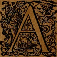 An illustration from Americæ nona & postrema pars : qua de ratione elementorum, de novi orbis natvra, de hvivs incolarvm svperstitiosis cultibus : deq; forma politiæ ac reipubl. ipsorum copiosè pertractatur : catalogo regnum Mexicanorum omnium, à primo vsq; ad vltimum Monteçuman II. additio ... : his accessit designatio illivs navigationis, quam 5. naves Hollandicae anno 1598. per fretum Magellanum in Moluccanas insulas tentarunt : quomodo nimirum oborta tempestate Capitaeus Sebalt de Weert à cæteris nauibus dispulsus, postquam plurimis mensibus in freto infinitis aerumnis miserè iactatus fuisset, tandem infectare post biennum an. 1600. domum reuersus sit : addita est tertio navigatio recens, quam 4. navium praefectus Olevier à Noort proximè suscepit ... : omnia è Germanico Latinitate donata, & insuper elegantissimis figuris æneis coornata editaq; sumptibus Theodori de Bry p.m. Viduæ & binorum filiorum (1602)