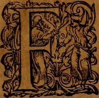 An illustration from Americæ nona & postrema pars : qua de ratione elementorum, de novi orbis natvra, de hvivs incolarvm svperstitiosis cultibus : deq; forma politiæ ac reipubl. ipsorum copiosè pertractatur : catalogo regnum Mexicanorum omnium, à primo vsq; ad vltimum Monteçuman II. additio ... : his accessit designatio illivs navigationis, quam 5. naves Hollandicae anno 1598. per fretum Magellanum in Moluccanas insulas tentarunt : quomodo nimirum oborta tempestate Capitaeus Sebalt de Weert à cæteris nauibus dispulsus, postquam plurimis mensibus in freto infinitis aerumnis miserè iactatus fuisset, tandem infectare post biennum an. 1600. domum reuersus sit : addita est tertio navigatio recens, quam 4. navium praefectus Olevier à Noort proximè suscepit ... : omnia è Germanico Latinitate donata, & insuper elegantissimis figuris æneis coornata editaq; sumptibus Theodori de Bry p.m. Viduæ & binorum filiorum (1602)