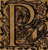 An illustration from Americæ nona & postrema pars : qua de ratione elementorum, de novi orbis natvra, de hvivs incolarvm svperstitiosis cultibus : deq; forma politiæ ac reipubl. ipsorum copiosè pertractatur : catalogo regnum Mexicanorum omnium, à primo vsq; ad vltimum Monteçuman II. additio ... : his accessit designatio illivs navigationis, quam 5. naves Hollandicae anno 1598. per fretum Magellanum in Moluccanas insulas tentarunt : quomodo nimirum oborta tempestate Capitaeus Sebalt de Weert à cæteris nauibus dispulsus, postquam plurimis mensibus in freto infinitis aerumnis miserè iactatus fuisset, tandem infectare post biennum an. 1600. domum reuersus sit : addita est tertio navigatio recens, quam 4. navium praefectus Olevier à Noort proximè suscepit ... : omnia è Germanico Latinitate donata, & insuper elegantissimis figuris æneis coornata editaq; sumptibus Theodori de Bry p.m. Viduæ & binorum filiorum (1602)