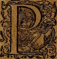 An illustration from Americæ nona & postrema pars : qua de ratione elementorum, de novi orbis natvra, de hvivs incolarvm svperstitiosis cultibus : deq; forma politiæ ac reipubl. ipsorum copiosè pertractatur : catalogo regnum Mexicanorum omnium, à primo vsq; ad vltimum Monteçuman II. additio ... : his accessit designatio illivs navigationis, quam 5. naves Hollandicae anno 1598. per fretum Magellanum in Moluccanas insulas tentarunt : quomodo nimirum oborta tempestate Capitaeus Sebalt de Weert à cæteris nauibus dispulsus, postquam plurimis mensibus in freto infinitis aerumnis miserè iactatus fuisset, tandem infectare post biennum an. 1600. domum reuersus sit : addita est tertio navigatio recens, quam 4. navium praefectus Olevier à Noort proximè suscepit ... : omnia è Germanico Latinitate donata, & insuper elegantissimis figuris æneis coornata editaq; sumptibus Theodori de Bry p.m. Viduæ & binorum filiorum (1602)