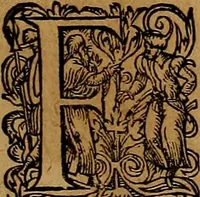 An illustration from Americæ nona & postrema pars : qua de ratione elementorum, de novi orbis natvra, de hvivs incolarvm svperstitiosis cultibus : deq; forma politiæ ac reipubl. ipsorum copiosè pertractatur : catalogo regnum Mexicanorum omnium, à primo vsq; ad vltimum Monteçuman II. additio ... : his accessit designatio illivs navigationis, quam 5. naves Hollandicae anno 1598. per fretum Magellanum in Moluccanas insulas tentarunt : quomodo nimirum oborta tempestate Capitaeus Sebalt de Weert à cæteris nauibus dispulsus, postquam plurimis mensibus in freto infinitis aerumnis miserè iactatus fuisset, tandem infectare post biennum an. 1600. domum reuersus sit : addita est tertio navigatio recens, quam 4. navium praefectus Olevier à Noort proximè suscepit ... : omnia è Germanico Latinitate donata, & insuper elegantissimis figuris æneis coornata editaq; sumptibus Theodori de Bry p.m. Viduæ & binorum filiorum (1602)