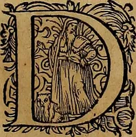 Picture 187 of 256 from Americæ nona & postrema pars : qua de ratione elementorum, de novi orbis natvra, de hvivs incolarvm svperstitiosis cultibus : deq; forma politiæ ac reipubl. ipsorum copiosè pertractatur : catalogo regnum Mexicanorum omnium, à primo vsq; ad vltimum Monteçuman II. additio ... : his accessit designatio illivs navigationis, quam 5. naves Hollandicae anno 1598. per fretum Magellanum in Moluccanas insulas tentarunt : quomodo nimirum oborta tempestate Capitaeus Sebalt de Weert à cæteris nauibus dispulsus, postquam plurimis mensibus in freto infinitis aerumnis miserè iactatus fuisset, tandem infectare post biennum an. 1600. domum reuersus sit : addita est tertio navigatio recens, quam 4. navium praefectus Olevier à Noort proximè suscepit ... : omnia è Germanico Latinitate donata, & insuper elegantissimis figuris æneis coornata editaq; sumptibus Theodori de Bry p.m. Viduæ & binorum filiorum (1602), leaf 442