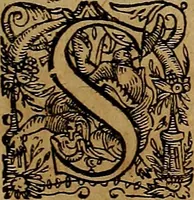 An illustration from Americæ nona & postrema pars : qua de ratione elementorum, de novi orbis natvra, de hvivs incolarvm svperstitiosis cultibus : deq; forma politiæ ac reipubl. ipsorum copiosè pertractatur : catalogo regnum Mexicanorum omnium, à primo vsq; ad vltimum Monteçuman II. additio ... : his accessit designatio illivs navigationis, quam 5. naves Hollandicae anno 1598. per fretum Magellanum in Moluccanas insulas tentarunt : quomodo nimirum oborta tempestate Capitaeus Sebalt de Weert à cæteris nauibus dispulsus, postquam plurimis mensibus in freto infinitis aerumnis miserè iactatus fuisset, tandem infectare post biennum an. 1600. domum reuersus sit : addita est tertio navigatio recens, quam 4. navium praefectus Olevier à Noort proximè suscepit ... : omnia è Germanico Latinitate donata, & insuper elegantissimis figuris æneis coornata editaq; sumptibus Theodori de Bry p.m. Viduæ & binorum filiorum (1602)