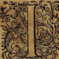 An illustration from Americæ nona & postrema pars : qua de ratione elementorum, de novi orbis natvra, de hvivs incolarvm svperstitiosis cultibus : deq; forma politiæ ac reipubl. ipsorum copiosè pertractatur : catalogo regnum Mexicanorum omnium, à primo vsq; ad vltimum Monteçuman II. additio ... : his accessit designatio illivs navigationis, quam 5. naves Hollandicae anno 1598. per fretum Magellanum in Moluccanas insulas tentarunt : quomodo nimirum oborta tempestate Capitaeus Sebalt de Weert à cæteris nauibus dispulsus, postquam plurimis mensibus in freto infinitis aerumnis miserè iactatus fuisset, tandem infectare post biennum an. 1600. domum reuersus sit : addita est tertio navigatio recens, quam 4. navium praefectus Olevier à Noort proximè suscepit ... : omnia è Germanico Latinitate donata, & insuper elegantissimis figuris æneis coornata editaq; sumptibus Theodori de Bry p.m. Viduæ & binorum filiorum (1602)