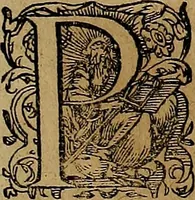 An illustration from Americæ nona & postrema pars : qua de ratione elementorum, de novi orbis natvra, de hvivs incolarvm svperstitiosis cultibus : deq; forma politiæ ac reipubl. ipsorum copiosè pertractatur : catalogo regnum Mexicanorum omnium, à primo vsq; ad vltimum Monteçuman II. additio ... : his accessit designatio illivs navigationis, quam 5. naves Hollandicae anno 1598. per fretum Magellanum in Moluccanas insulas tentarunt : quomodo nimirum oborta tempestate Capitaeus Sebalt de Weert à cæteris nauibus dispulsus, postquam plurimis mensibus in freto infinitis aerumnis miserè iactatus fuisset, tandem infectare post biennum an. 1600. domum reuersus sit : addita est tertio navigatio recens, quam 4. navium praefectus Olevier à Noort proximè suscepit ... : omnia è Germanico Latinitate donata, & insuper elegantissimis figuris æneis coornata editaq; sumptibus Theodori de Bry p.m. Viduæ & binorum filiorum (1602)