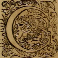 An illustration from Americæ nona & postrema pars : qua de ratione elementorum, de novi orbis natvra, de hvivs incolarvm svperstitiosis cultibus : deq; forma politiæ ac reipubl. ipsorum copiosè pertractatur : catalogo regnum Mexicanorum omnium, à primo vsq; ad vltimum Monteçuman II. additio ... : his accessit designatio illivs navigationis, quam 5. naves Hollandicae anno 1598. per fretum Magellanum in Moluccanas insulas tentarunt : quomodo nimirum oborta tempestate Capitaeus Sebalt de Weert à cæteris nauibus dispulsus, postquam plurimis mensibus in freto infinitis aerumnis miserè iactatus fuisset, tandem infectare post biennum an. 1600. domum reuersus sit : addita est tertio navigatio recens, quam 4. navium praefectus Olevier à Noort proximè suscepit ... : omnia è Germanico Latinitate donata, & insuper elegantissimis figuris æneis coornata editaq; sumptibus Theodori de Bry p.m. Viduæ & binorum filiorum (1602)
