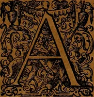 An illustration from Americæ nona & postrema pars : qua de ratione elementorum, de novi orbis natvra, de hvivs incolarvm svperstitiosis cultibus : deq; forma politiæ ac reipubl. ipsorum copiosè pertractatur : catalogo regnum Mexicanorum omnium, à primo vsq; ad vltimum Monteçuman II. additio ... : his accessit designatio illivs navigationis, quam 5. naves Hollandicae anno 1598. per fretum Magellanum in Moluccanas insulas tentarunt : quomodo nimirum oborta tempestate Capitaeus Sebalt de Weert à cæteris nauibus dispulsus, postquam plurimis mensibus in freto infinitis aerumnis miserè iactatus fuisset, tandem infectare post biennum an. 1600. domum reuersus sit : addita est tertio navigatio recens, quam 4. navium praefectus Olevier à Noort proximè suscepit ... : omnia è Germanico Latinitate donata, & insuper elegantissimis figuris æneis coornata editaq; sumptibus Theodori de Bry p.m. Viduæ & binorum filiorum (1602)
