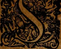 An illustration from Americæ nona & postrema pars : qua de ratione elementorum, de novi orbis natvra, de hvivs incolarvm svperstitiosis cultibus : deq; forma politiæ ac reipubl. ipsorum copiosè pertractatur : catalogo regnum Mexicanorum omnium, à primo vsq; ad vltimum Monteçuman II. additio ... : his accessit designatio illivs navigationis, quam 5. naves Hollandicae anno 1598. per fretum Magellanum in Moluccanas insulas tentarunt : quomodo nimirum oborta tempestate Capitaeus Sebalt de Weert à cæteris nauibus dispulsus, postquam plurimis mensibus in freto infinitis aerumnis miserè iactatus fuisset, tandem infectare post biennum an. 1600. domum reuersus sit : addita est tertio navigatio recens, quam 4. navium praefectus Olevier à Noort proximè suscepit ... : omnia è Germanico Latinitate donata, & insuper elegantissimis figuris æneis coornata editaq; sumptibus Theodori de Bry p.m. Viduæ & binorum filiorum (1602)