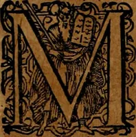 An illustration from Americæ nona & postrema pars : qua de ratione elementorum, de novi orbis natvra, de hvivs incolarvm svperstitiosis cultibus : deq; forma politiæ ac reipubl. ipsorum copiosè pertractatur : catalogo regnum Mexicanorum omnium, à primo vsq; ad vltimum Monteçuman II. additio ... : his accessit designatio illivs navigationis, quam 5. naves Hollandicae anno 1598. per fretum Magellanum in Moluccanas insulas tentarunt : quomodo nimirum oborta tempestate Capitaeus Sebalt de Weert à cæteris nauibus dispulsus, postquam plurimis mensibus in freto infinitis aerumnis miserè iactatus fuisset, tandem infectare post biennum an. 1600. domum reuersus sit : addita est tertio navigatio recens, quam 4. navium praefectus Olevier à Noort proximè suscepit ... : omnia è Germanico Latinitate donata, & insuper elegantissimis figuris æneis coornata editaq; sumptibus Theodori de Bry p.m. Viduæ & binorum filiorum (1602)