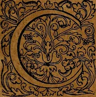 An illustration from Americæ nona & postrema pars : qua de ratione elementorum, de novi orbis natvra, de hvivs incolarvm svperstitiosis cultibus : deq; forma politiæ ac reipubl. ipsorum copiosè pertractatur : catalogo regnum Mexicanorum omnium, à primo vsq; ad vltimum Monteçuman II. additio ... : his accessit designatio illivs navigationis, quam 5. naves Hollandicae anno 1598. per fretum Magellanum in Moluccanas insulas tentarunt : quomodo nimirum oborta tempestate Capitaeus Sebalt de Weert à cæteris nauibus dispulsus, postquam plurimis mensibus in freto infinitis aerumnis miserè iactatus fuisset, tandem infectare post biennum an. 1600. domum reuersus sit : addita est tertio navigatio recens, quam 4. navium praefectus Olevier à Noort proximè suscepit ... : omnia è Germanico Latinitate donata, & insuper elegantissimis figuris æneis coornata editaq; sumptibus Theodori de Bry p.m. Viduæ & binorum filiorum (1602)