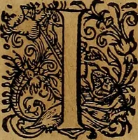 An illustration from Americæ nona & postrema pars : qua de ratione elementorum, de novi orbis natvra, de hvivs incolarvm svperstitiosis cultibus : deq; forma politiæ ac reipubl. ipsorum copiosè pertractatur : catalogo regnum Mexicanorum omnium, à primo vsq; ad vltimum Monteçuman II. additio ... : his accessit designatio illivs navigationis, quam 5. naves Hollandicae anno 1598. per fretum Magellanum in Moluccanas insulas tentarunt : quomodo nimirum oborta tempestate Capitaeus Sebalt de Weert à cæteris nauibus dispulsus, postquam plurimis mensibus in freto infinitis aerumnis miserè iactatus fuisset, tandem infectare post biennum an. 1600. domum reuersus sit : addita est tertio navigatio recens, quam 4. navium praefectus Olevier à Noort proximè suscepit ... : omnia è Germanico Latinitate donata, & insuper elegantissimis figuris æneis coornata editaq; sumptibus Theodori de Bry p.m. Viduæ & binorum filiorum (1602)